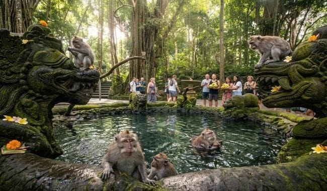 Monkey Forest Ubud, Destinasi Wisata Alam dan Budaya yang Ikonik di Bali