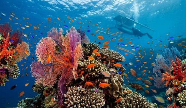 Pantai Amed Bali, Destinasi Wisata Bahari yang Menarik di Bali