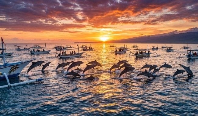 Pantai Lovina Bali, Destinasi Wisata Pantai yang Terkenal dengan Lumba-Lumba