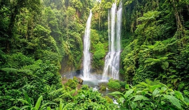 Sekumpul Waterfall Bali, Air Terjun Spektakuler dengan Panorama Alam yang Memukau