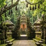 Alas Kedaton Bali, Hutan Wisata dengan Habitat Kera dan Suasana Alam yang Asri