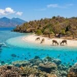 Pulau Menjangan Bali, Surga Bawah Laut yang Menakjubkan di Bali Barat
