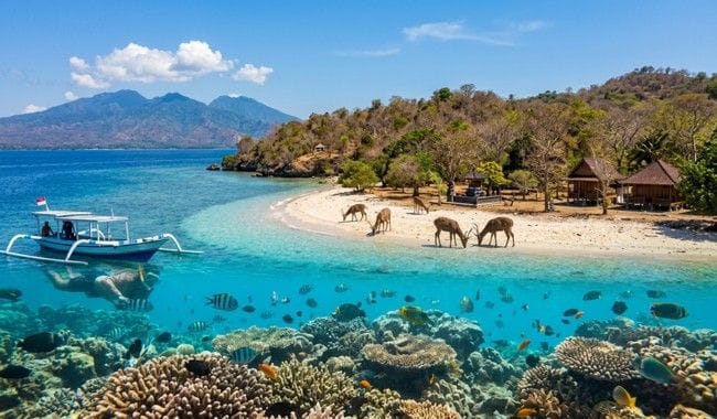 Pulau Menjangan Bali, Surga Bawah Laut yang Menakjubkan di Bali Barat