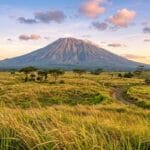 Savana Tianyar Bali Pesona Padang Rumput Luas dengan Latar Gunung Agung
