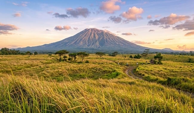 Savana Tianyar Bali Pesona Padang Rumput Luas dengan Latar Gunung Agung